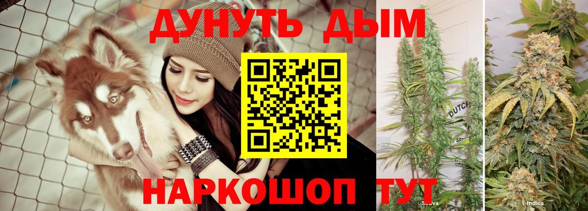 Марихуана Amnesia  Канабис план  Вход с VPN  Марихуана сатива  Конаково 